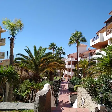 Forest Flat - Big Heated Pool, Terrace, Tv Channels * Σαν Μιγκέλ ντε Αμπόνα