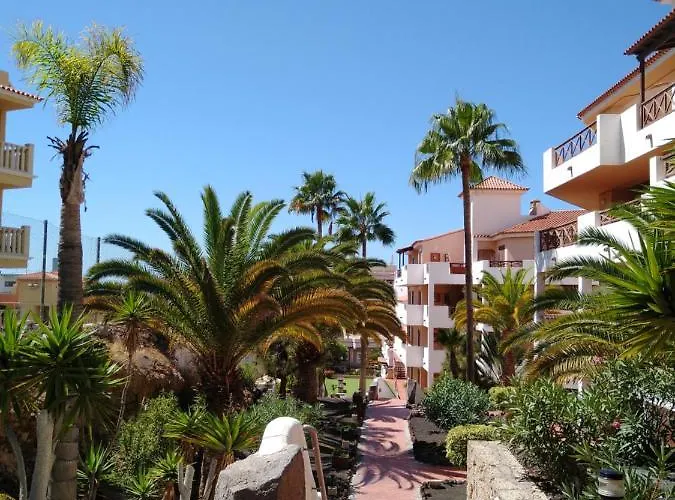 Forest Flat - Big Heated Pool, Terrace, Tv Channels * San Miguel de Abona